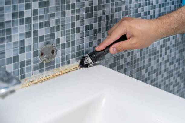 Best Mold Cleaning Services  in Scobey, MT